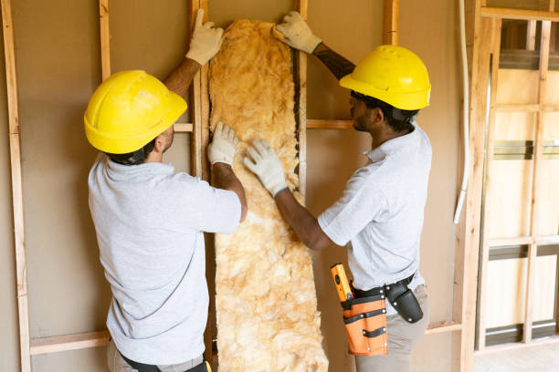 Best Attic Insulation Installation  in Davenport, FL