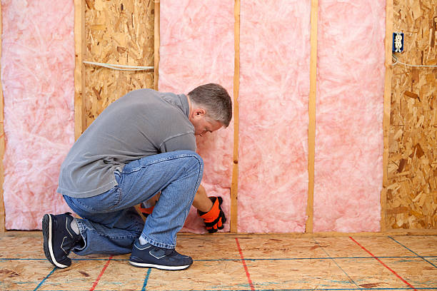 Best Blown-In Insulation  in Davenport, FL